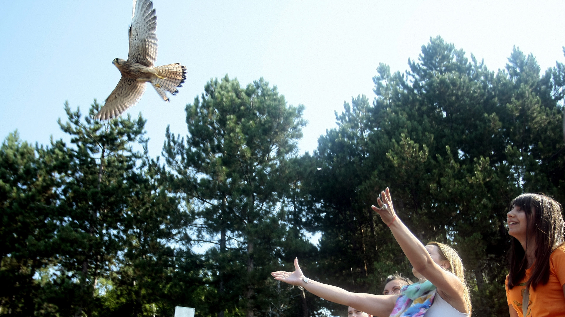 Активисти на организацията Зелени Балкани пуснаха на свобода седем птици