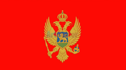 Правителството на Черна гора е взело решение да изгони един