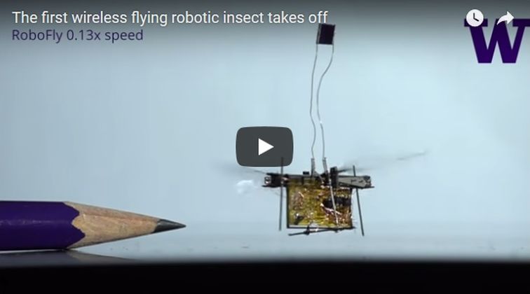 Инженери от Вашингтонския университет са създали миниатюрен робот с крила