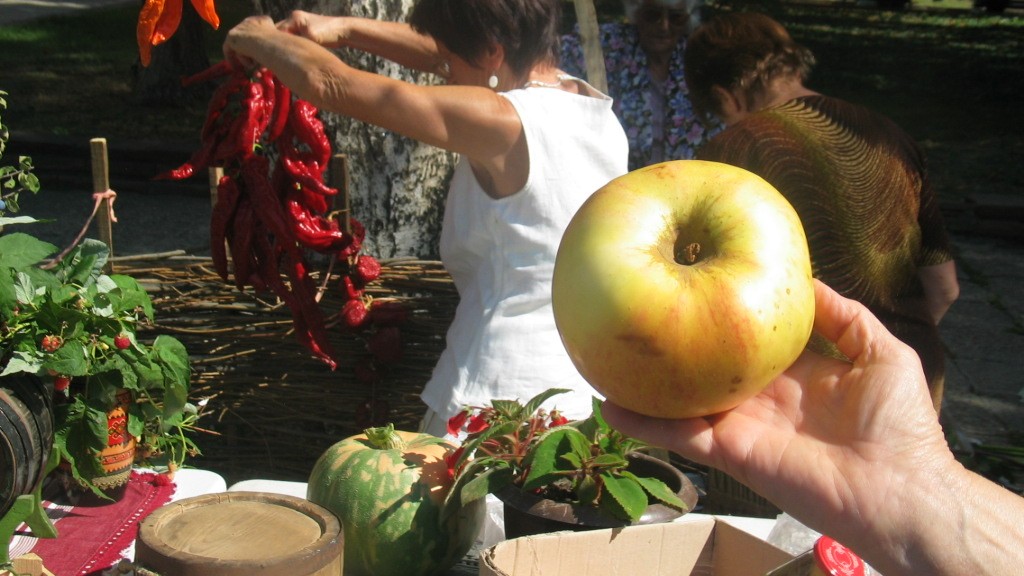 Нулева реколта при ябълките регистрира Институтът по земеделие в Кюстендил,