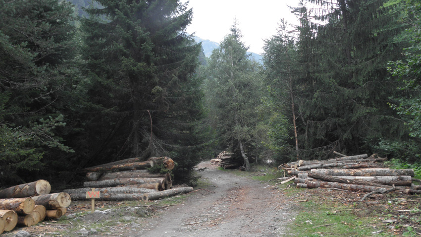 70 километра горски пътища са изградени и ремонтирани за последните