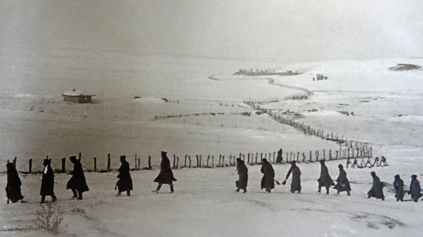 Linja mbrojtëse përgjatë lumit të Danubit, Fronti Verior, më 1916