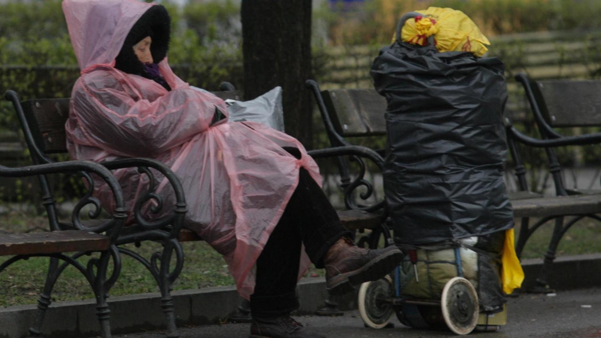 Първият общински приют за бездомни хора във Великотърновска област е