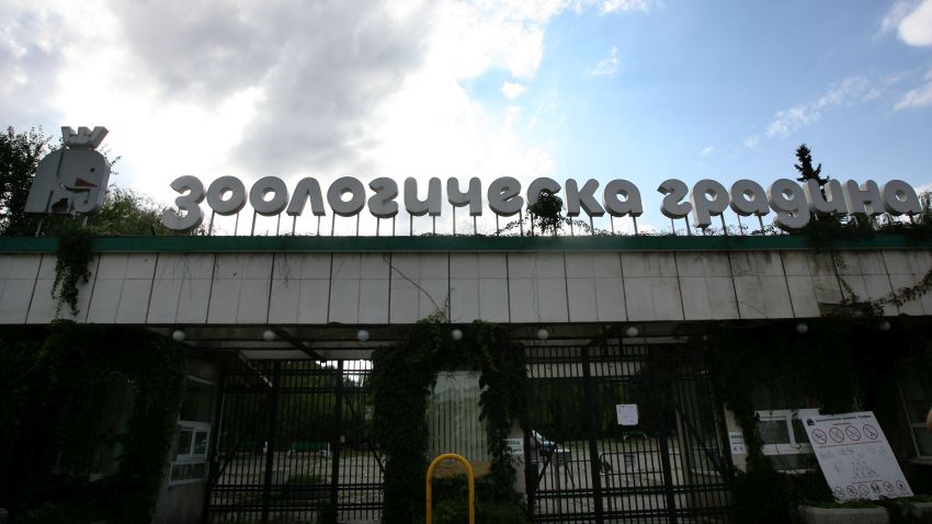 Зоологическата градина в София ще бъде затворена за неопределено време