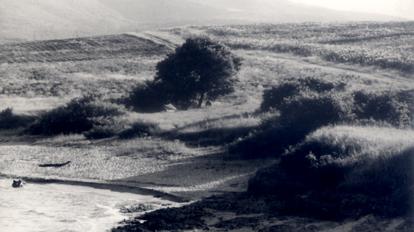 Arapia en 1962, cuando Ekaterina Dimitrova visitó la bahía por primera vez