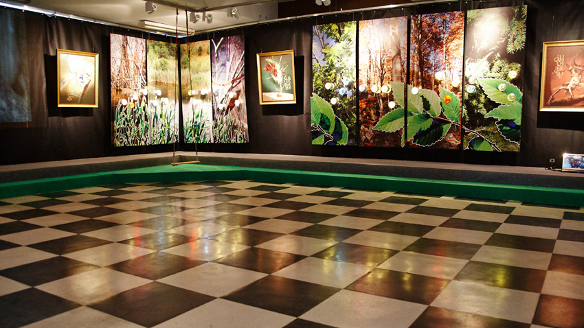 „Insektenwelt” – die neueste Ausstellung im Museum, März 2014