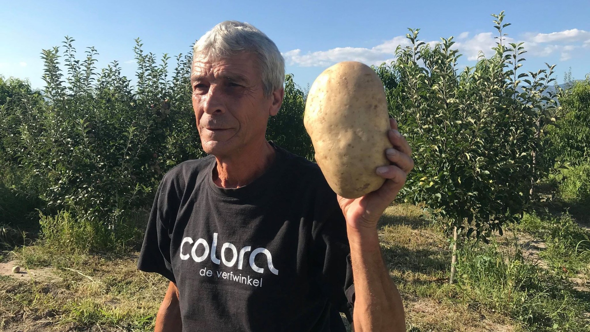 В казанлъшкото село Овощник отгледаха картоф рекордьор Картофът е с внушително тегло