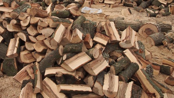 В навечерието на зимата кризата с дървата за огрев в