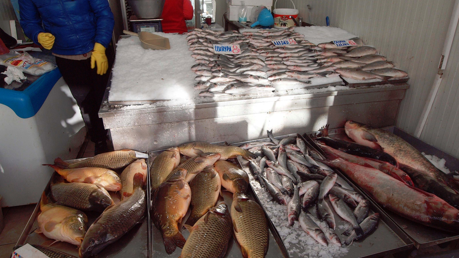 На пазара има риба с изтекъл срок на годност За