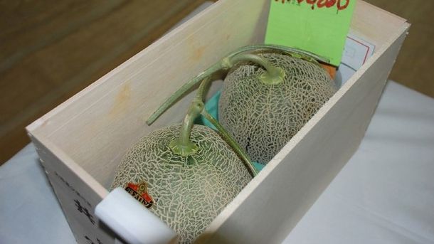 Два пъпеша юбари, които са много ценени в Япония, бяха