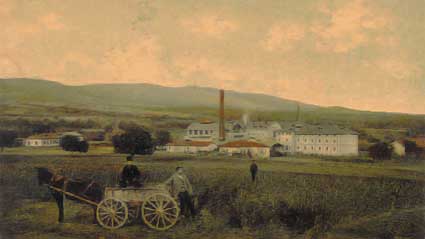 Fabrika e birrës, viti 1902