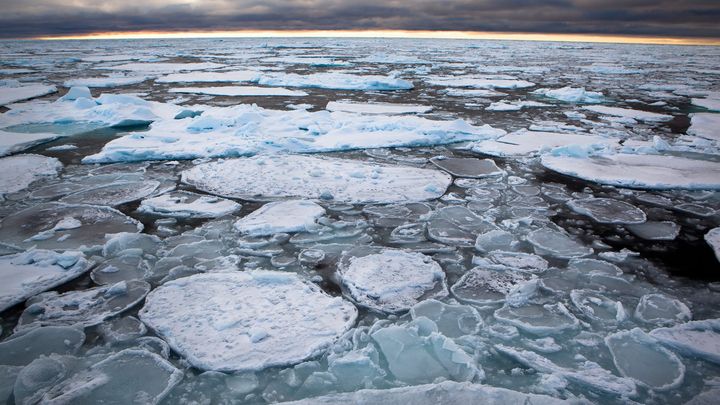 Най старият и най дебел морски лед в Арктика е започнал да