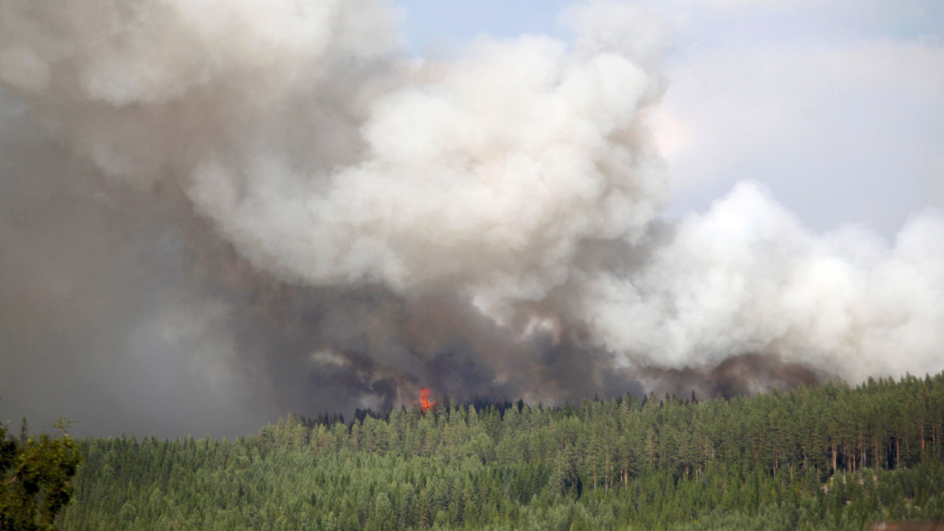 В Швеция бушуват безпрецедентни горски пожари горят стотици хектари