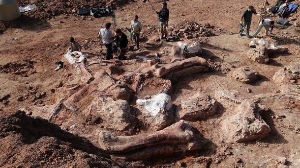 В Австралия бяха открити фосили на двукрак динозавър чиито останки