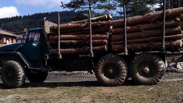 Големи количества незаконна дървесина задържаха служители на Югозападното държавно предприятие