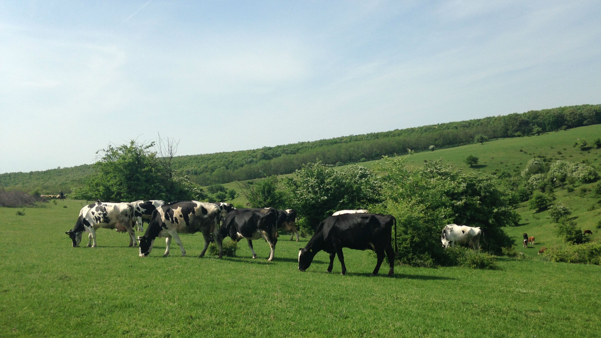  Илюстративна фотография: Радио Шумен 