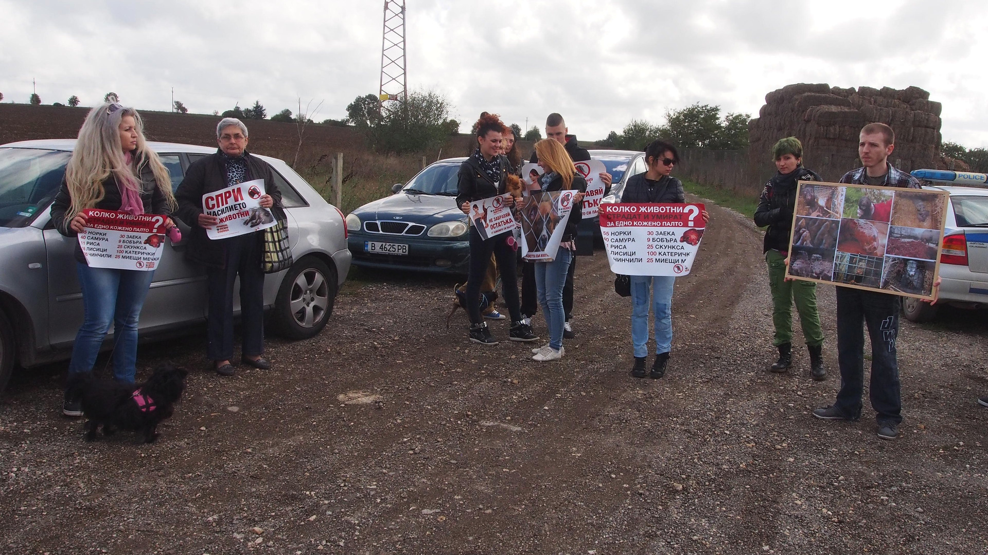 Граждански организации се събират на протест пред фермата за норки
