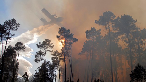 36 души са загинали в Португалия при рекордния брой горски