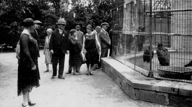 Разказ за драматичната история на първия зоопарк у нас създаден