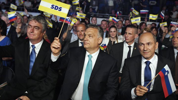 Консервативната антиимигрантска Словенска демократична партия СДС вероятно ще е победител