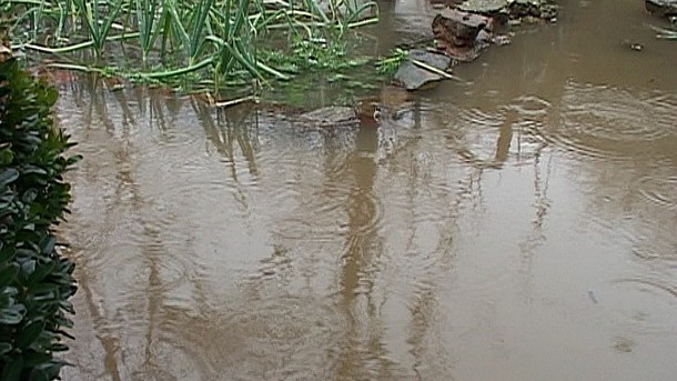 Най малко петима души загинаха от проливни дъждове в град Анкан