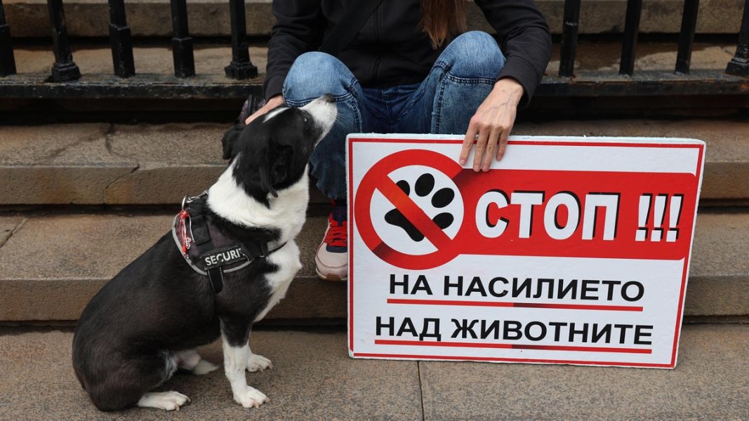  Илюстративна фотография: БГНЕС 