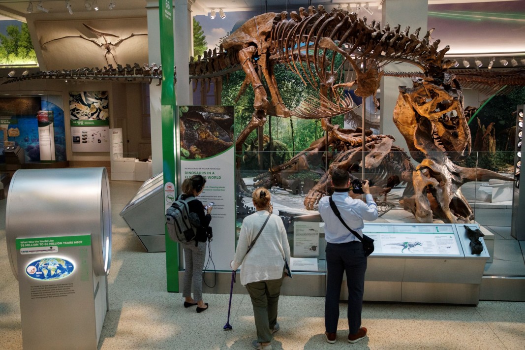 Посетители снимат в „Залата на вкаменелостите“ в Националния природонаучен музей на Института Смитсониън във Вашингтон – показан е тиранозавър, нападащ трицератопс.