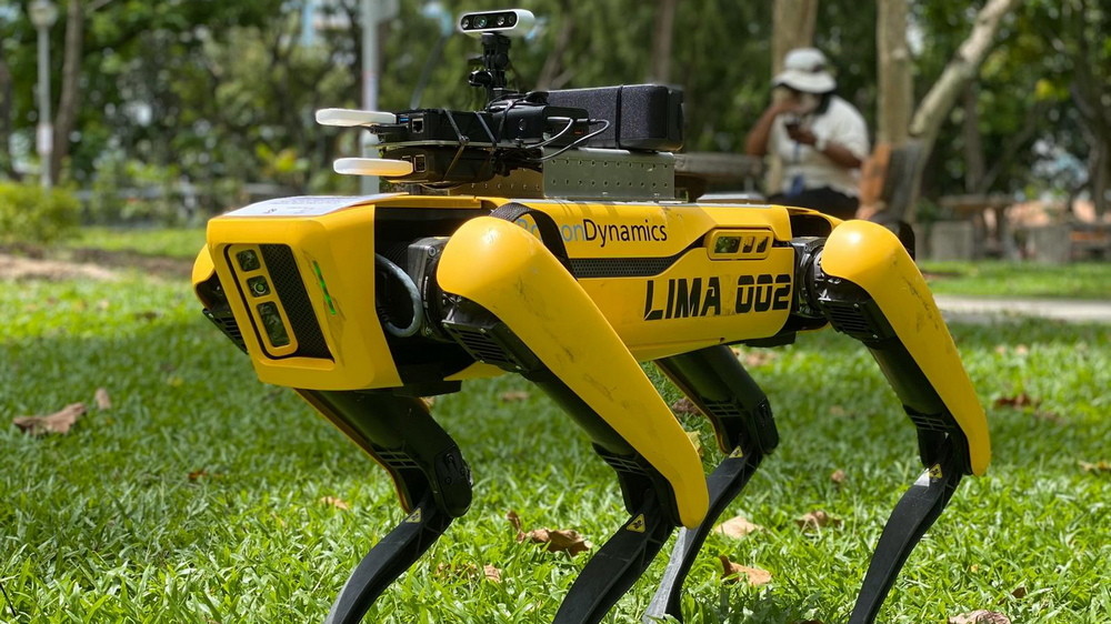Робот предупреждава посетителите в парк в Сингапур да спазват социална дистанция.