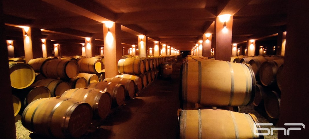 Избите с вино в района на Флорина. Тук се произвеждат едни от най-известните гръцки вина