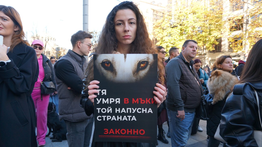 Протест срещу насилието над животните пред Съдебната палата в София на 15.11.2025 г.