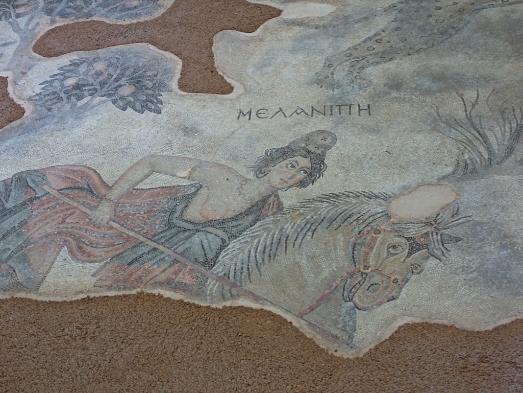 Изображение на амазонка в Музея на мозайките в град Шанлъурфа