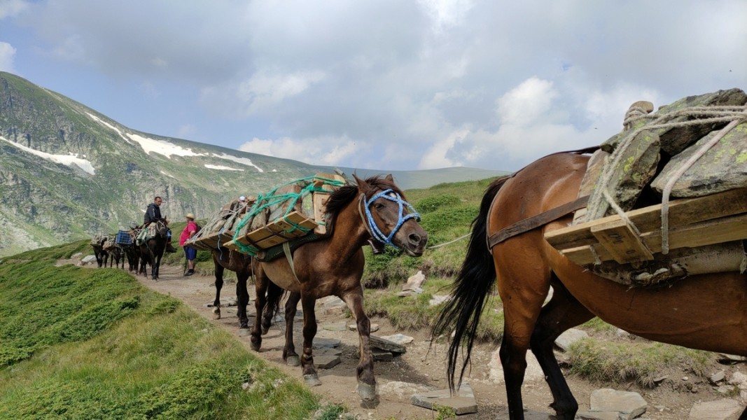  Снимка: Мая Щърбанова 