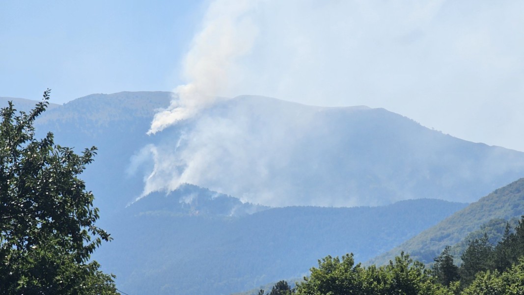 Пожарът в планината Славянка; Снимка: Кети Тренчева