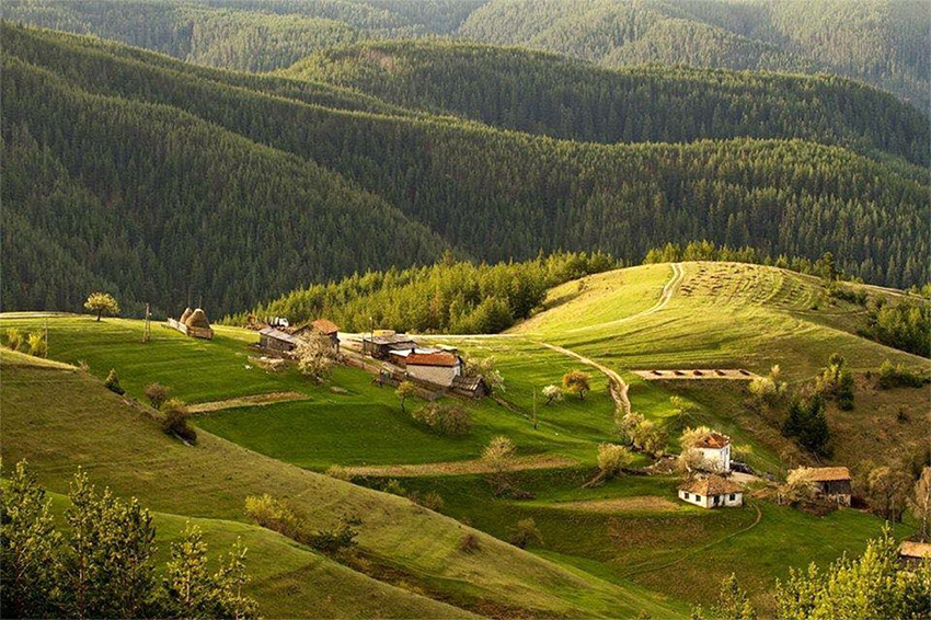 Village of Ortsevo