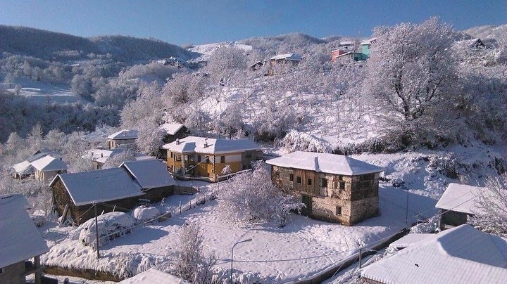Golo Bardo, Albanien