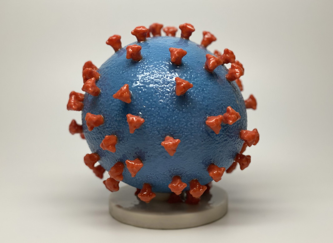 Модел на коронавируса, SARS-CoV-2, който причинява болестта Covid-19. На модела се вижда, че повърхността на вируса (синя) е покрита с „шипови“ протеини (червени). Изображение: National Institutes of Health (NIH)