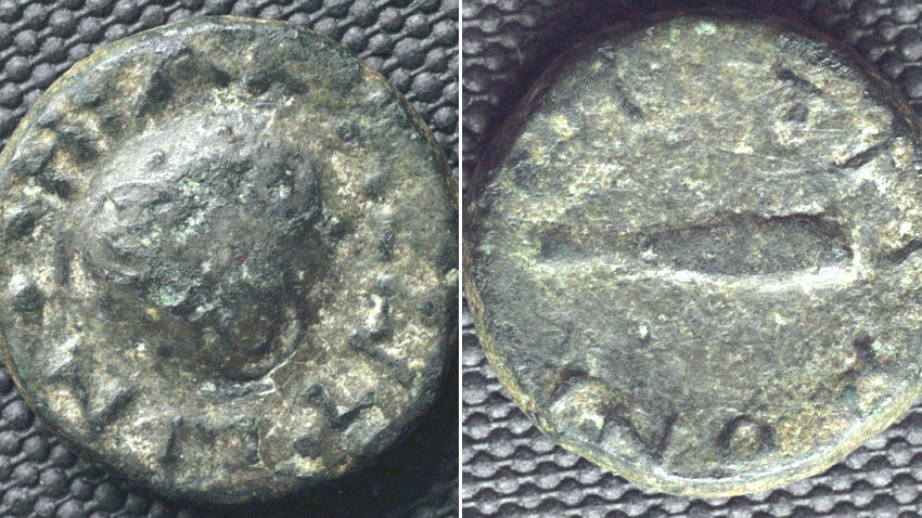 Монетите от Хераклея Синтика. Снимка: БГНЕС
