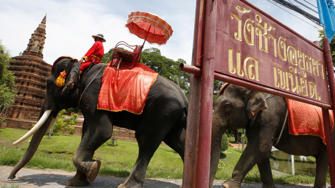 Слоновете са част от туристическата индустрия на Тайланд.  Снимка: ЕПА/БГНЕС