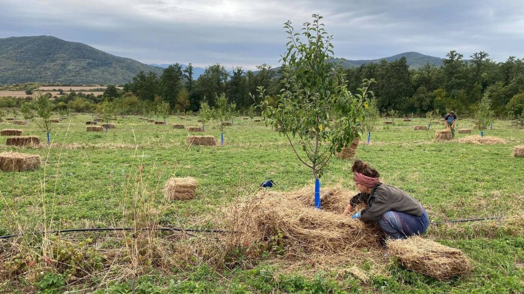  Снимка: Личен списък 