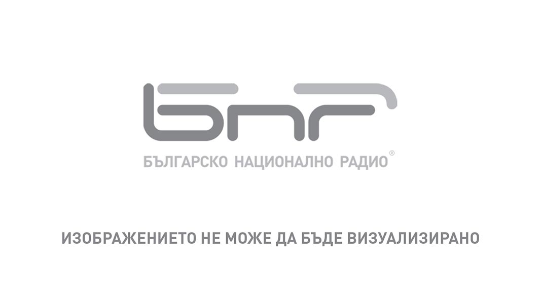 Фигурата на Грета Тунберг като част от парада в Дюселдорф - 24 февруари 2020 г.