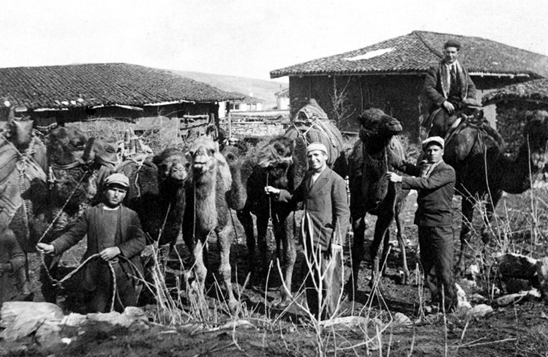 Неразделен тандем – деведжия и камила, Кавакли - 1934 г.