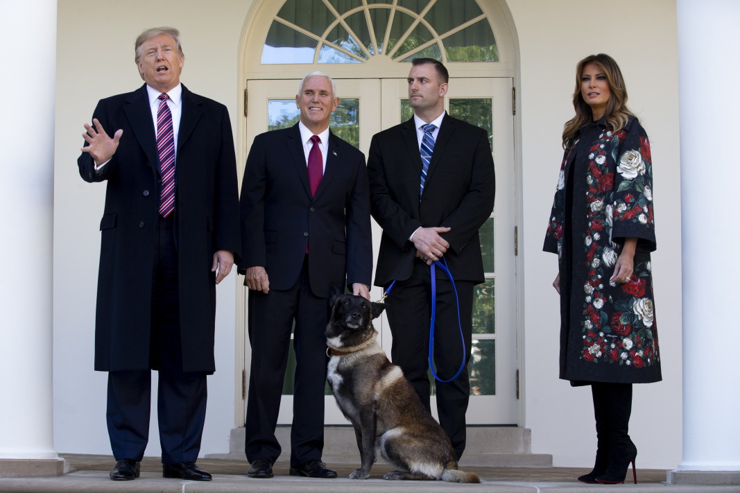 Image result for тръмп и кучето конан