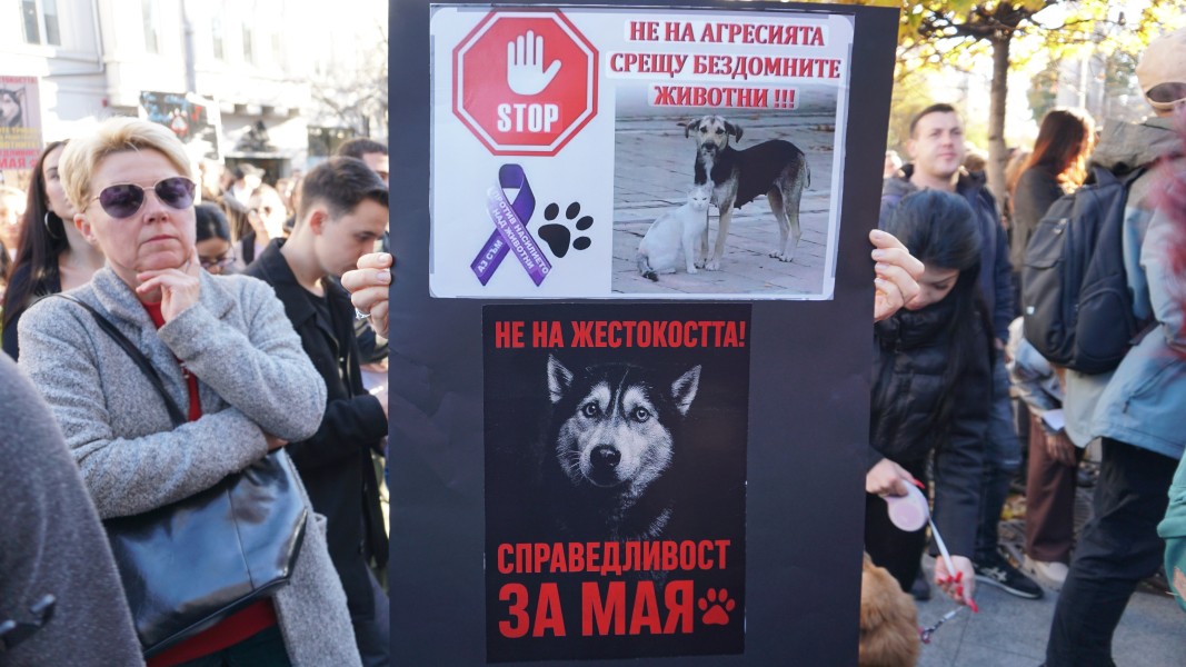 Протест срещу насилието над животните пред Съдебната палата в София на 15.11.2025 г.