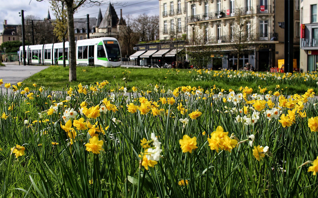 La ciudad Nant en Francia