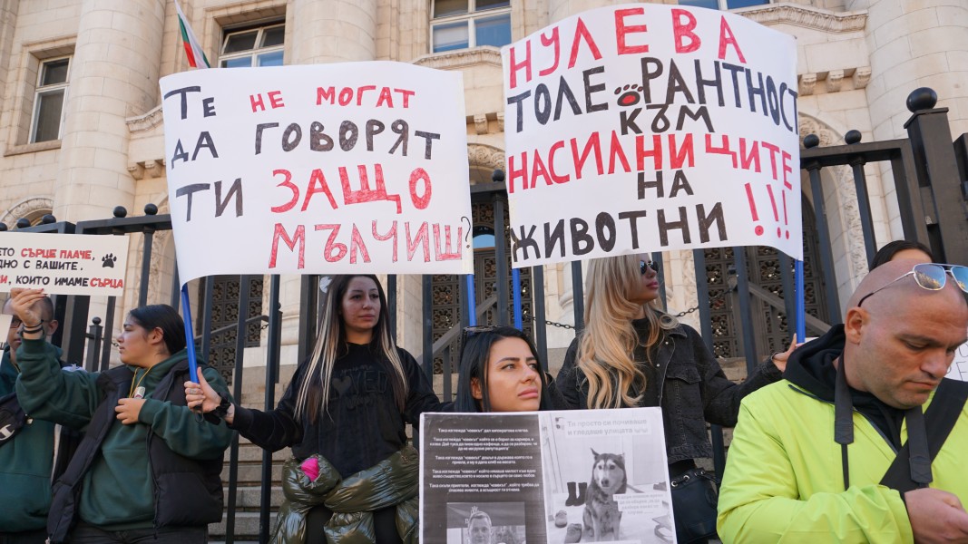 Протест срещу насилието над животните пред Съдебната палата в София на 15.11.2025 г.