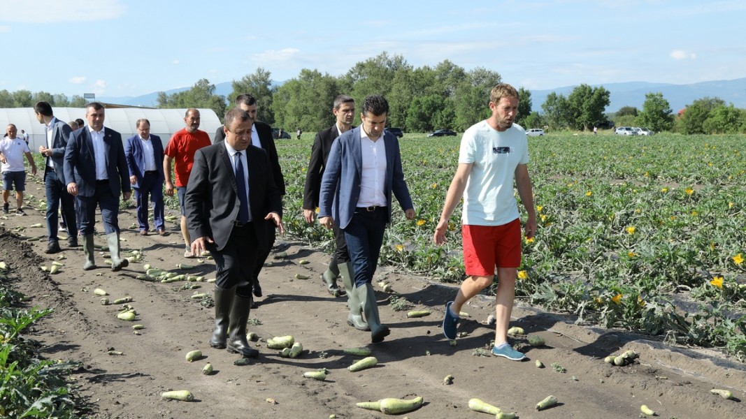 Земеделският министър Иван Иванов и премиерът Кирил Петков посетиха Садово, където градушка унищожи огромни масиви земеделски насаждения. Юни 2022 г. Снимка: БГНЕС