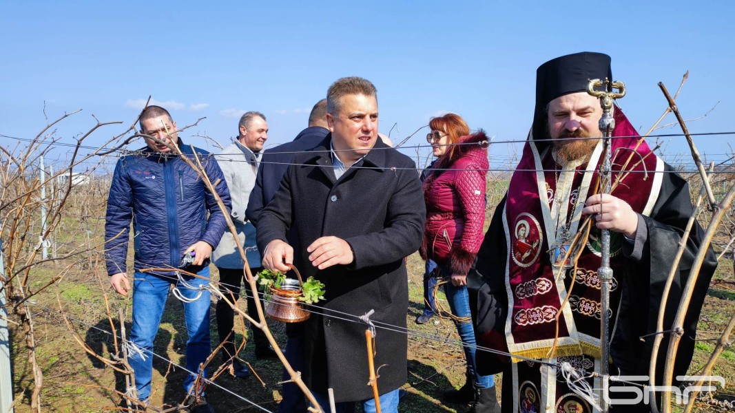 Не по-малко от 10 евро трябва да струва бутилка българско вино в чужбина смята председателят на НЛВК Йордан Чорбаджийски