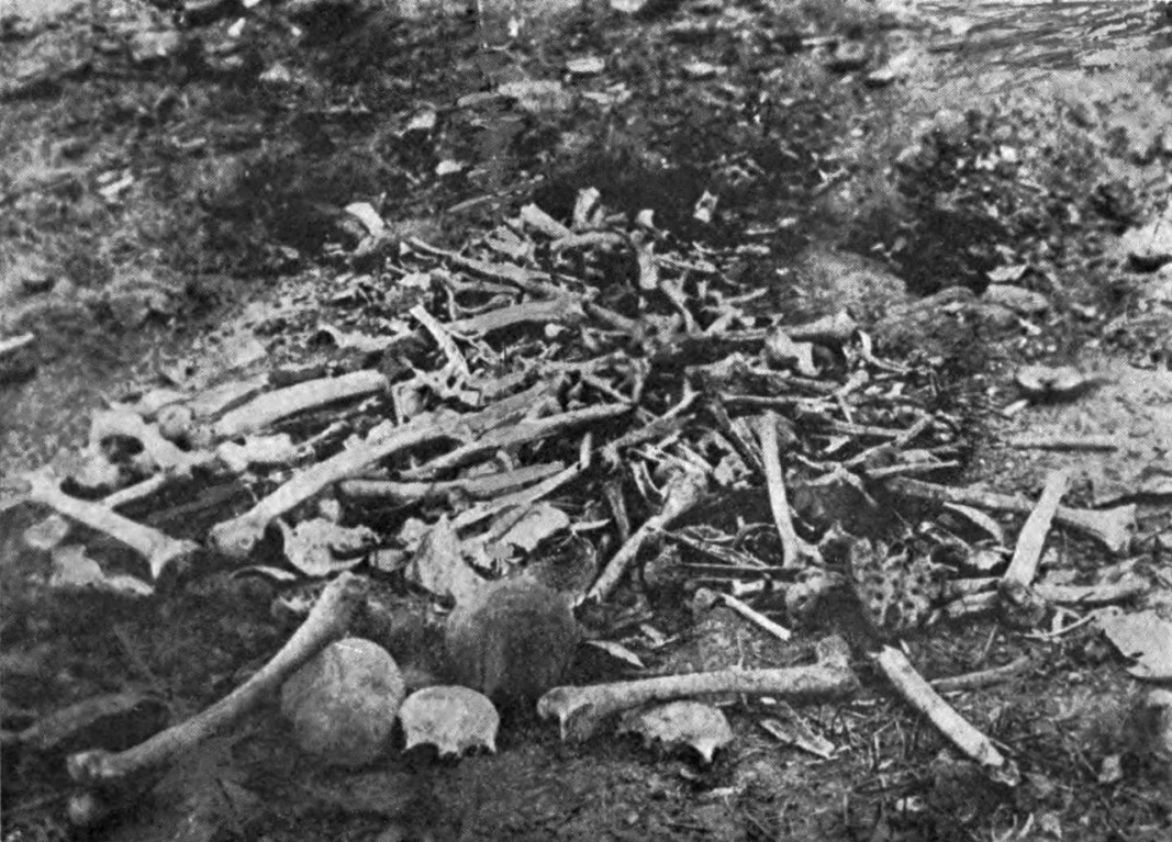 Останки от избити арменци в Ерзинджан. Подобни гледки можели да се видят навсякъде из Армения