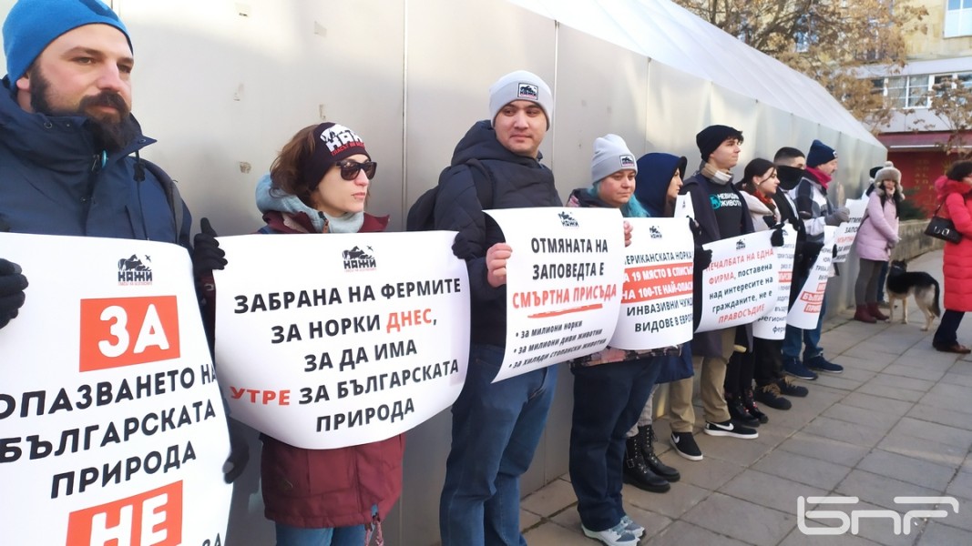 Природозащитници протестират от години за забрана на фермите за норки  Снимка: Евелина Стоянова