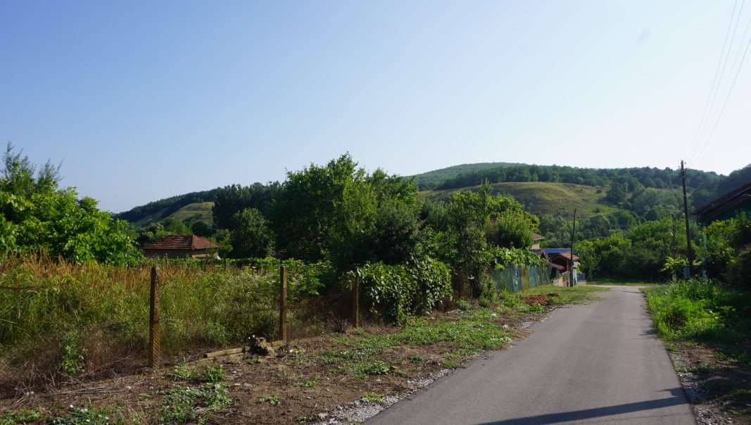 село Вълчек